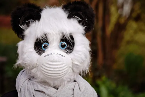 BetOriginal Kazino Pagalba